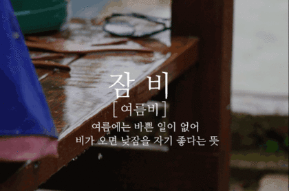 무더위에 지친 여시에게 내릴 비 골라보기.gif (우리나라 비의 의인화ver) + 소나기 추가 | 인스티즈