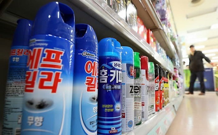 '바퀴벌레'에 얽힌 소름돋는 진실 8가지 | 인스티즈