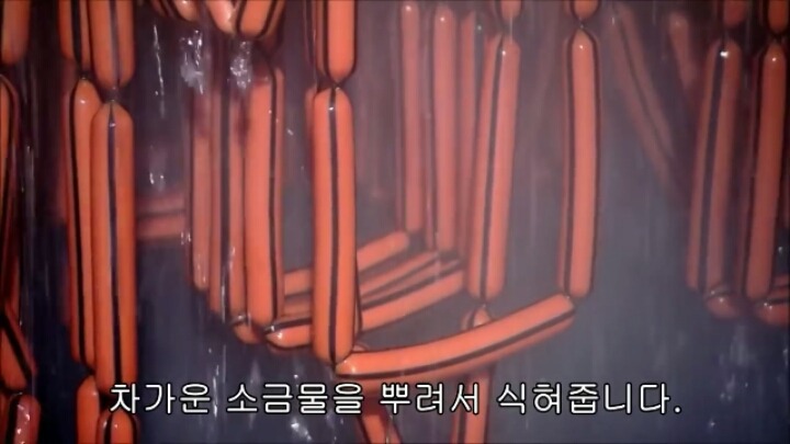 핫도그 소시지가 만들어지는 과정-2 | 인스티즈