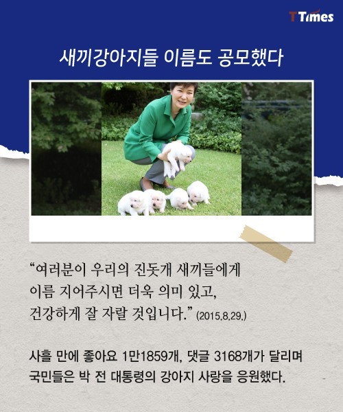 박근혜를 거쳐 간 강아지들 스토리 | 인스티즈