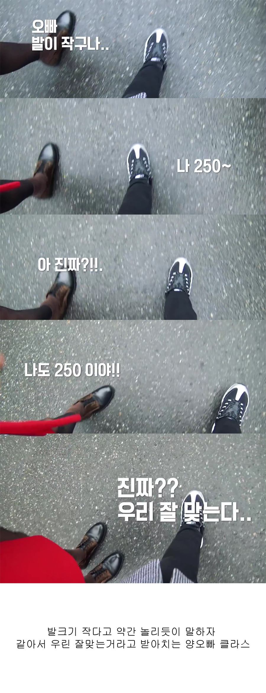 보면 연애하고 싶어지는 양세형과 이호정.jpg (feat.낫공감 주의) | 인스티즈