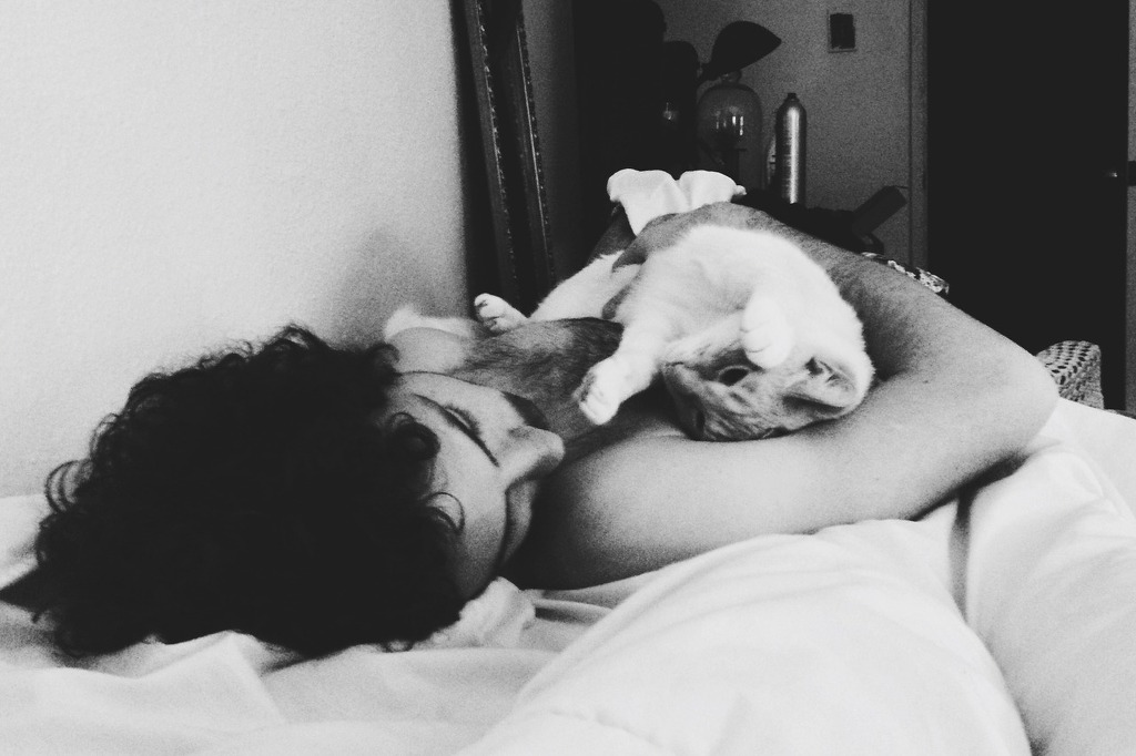 고양이 좋아하는 남자 좋아해요? | 인스티즈