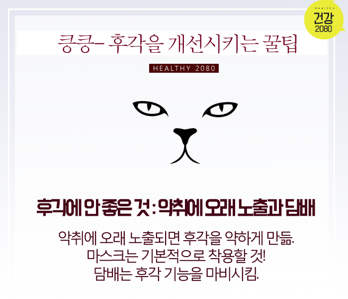 후각 좋아지는 꿀팁! | 인스티즈