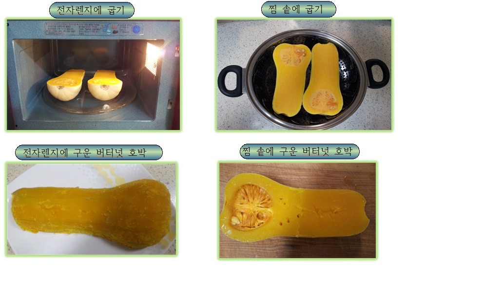 버터넛 이미지