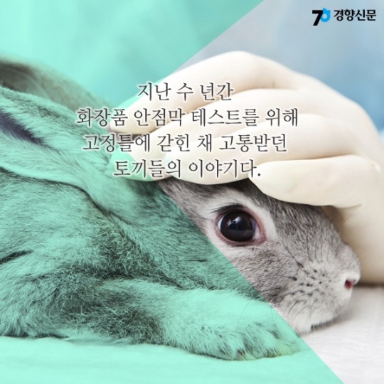 동물실험을 하는 화장품 사지마시지말입니다 | 인스티즈