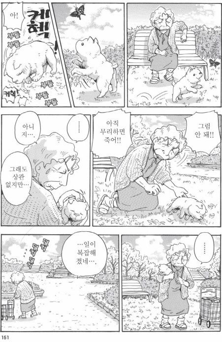 개를 주워 오면 안되는 이유 | 인스티즈
