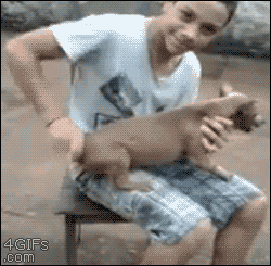 개시동.gif | 인스티즈