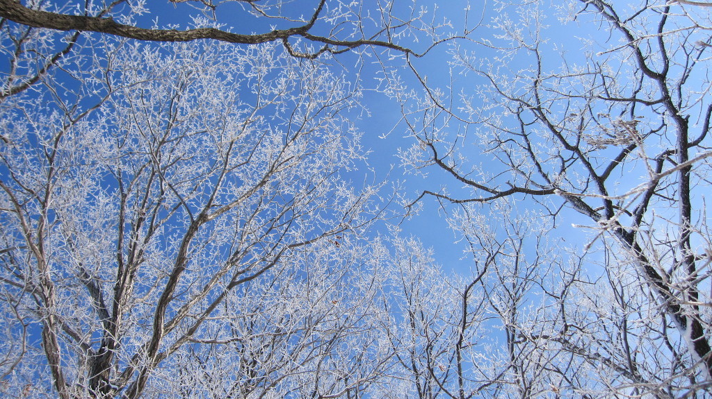 시문 이미지
