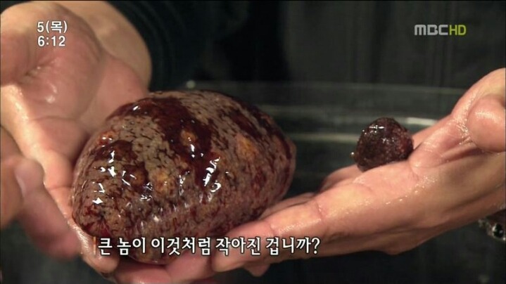 해삼의 미스테리.jpg | 인스티즈