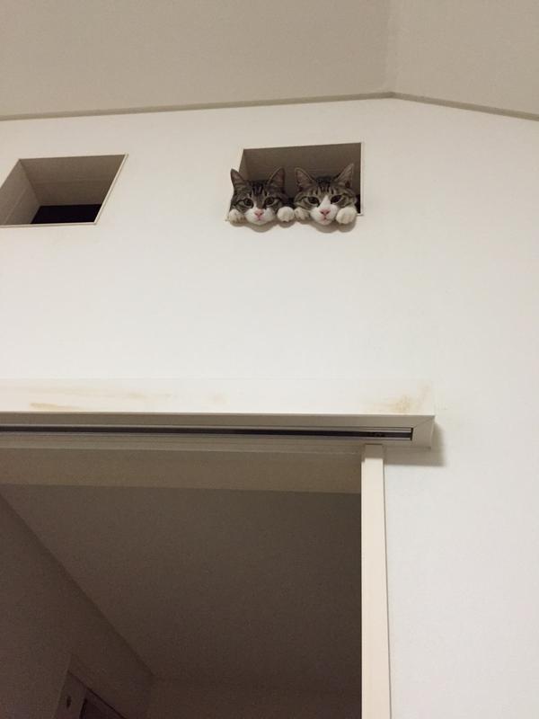 22765E47561F65E21AD237