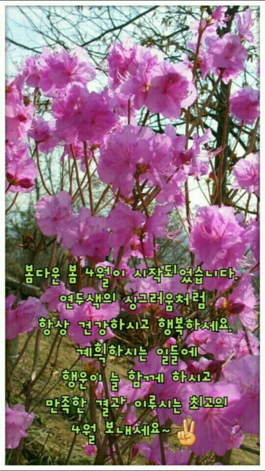 잉꼬식당 이미지