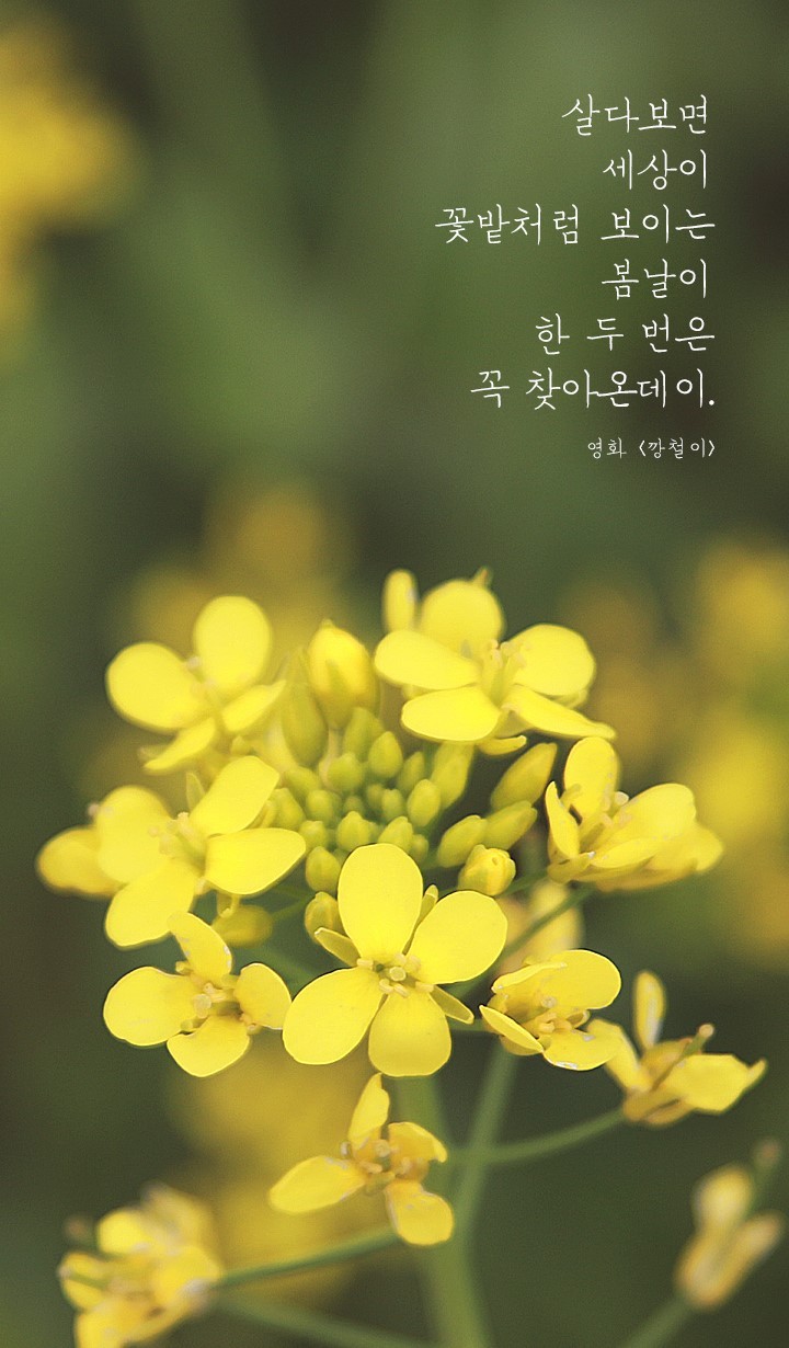 오늘도화이팅 이미지