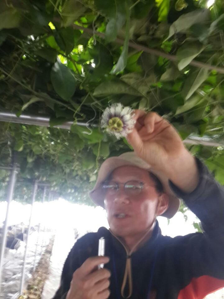 후르츠커피 이미지