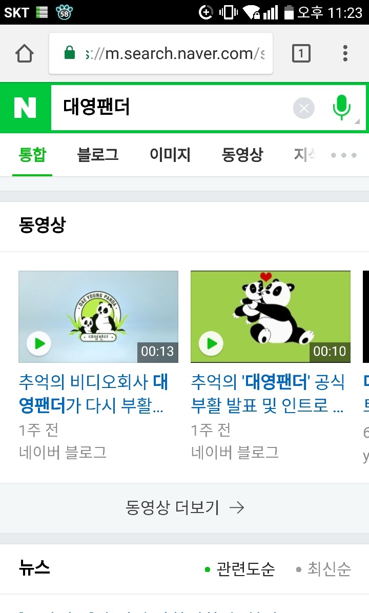 대영팬더 이미지