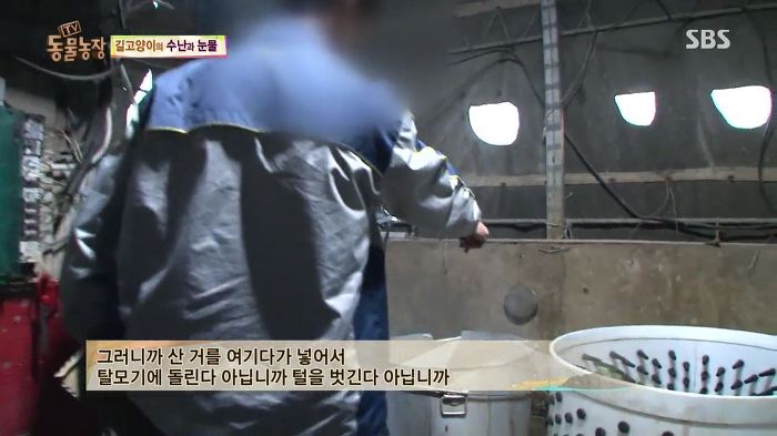 눈앞에서 제 아이가 맞아죽었습니다. 도와주세요 | 인스티즈