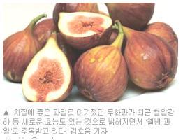 꼬미다 이미지