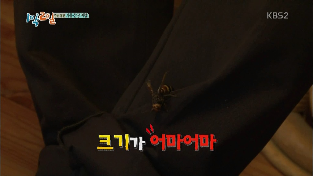 1박2일 시즌3가 역대급 팀워크라 불리는 이유.jpg | 인스티즈