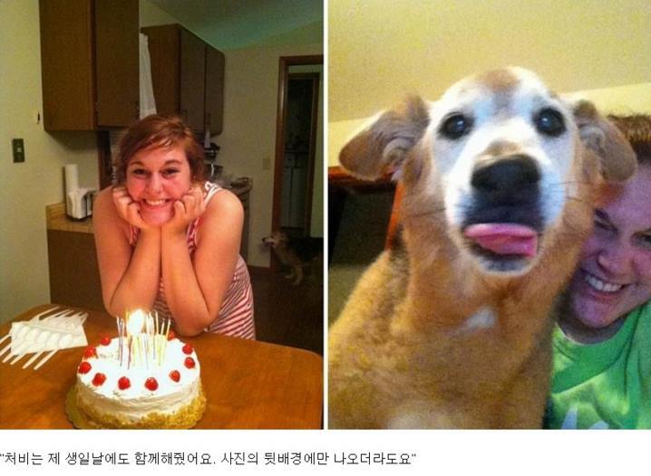 반려견과의 만남과 이별 과정.jpg | 인스티즈