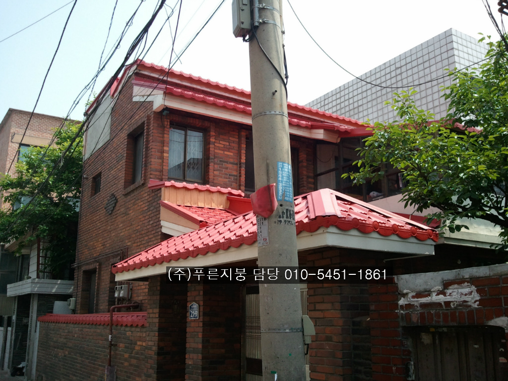 성심칼라 이미지