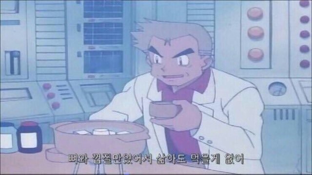 박사에게 보내진 포켓몬의 비밀.pokemon | 인스티즈