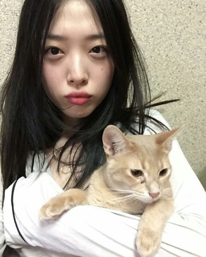 최근자 설리 인스타 폭풍업뎃.jpg | 인스티즈