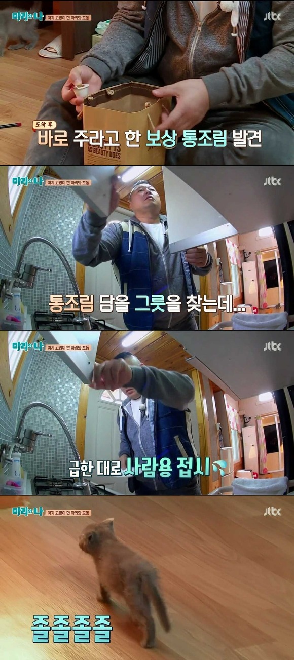 [마리와나] 케미가 냥냥 터지는 강호동과 새끼 고양이 토토.jpg | 인스티즈