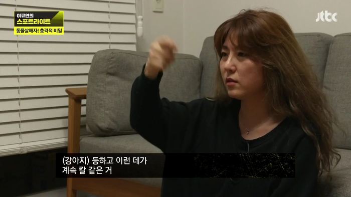 개 50여마리를 담뱃불로 지지고 던지고 매질해 살해한 남고생 7명.jpg | 인스티즈