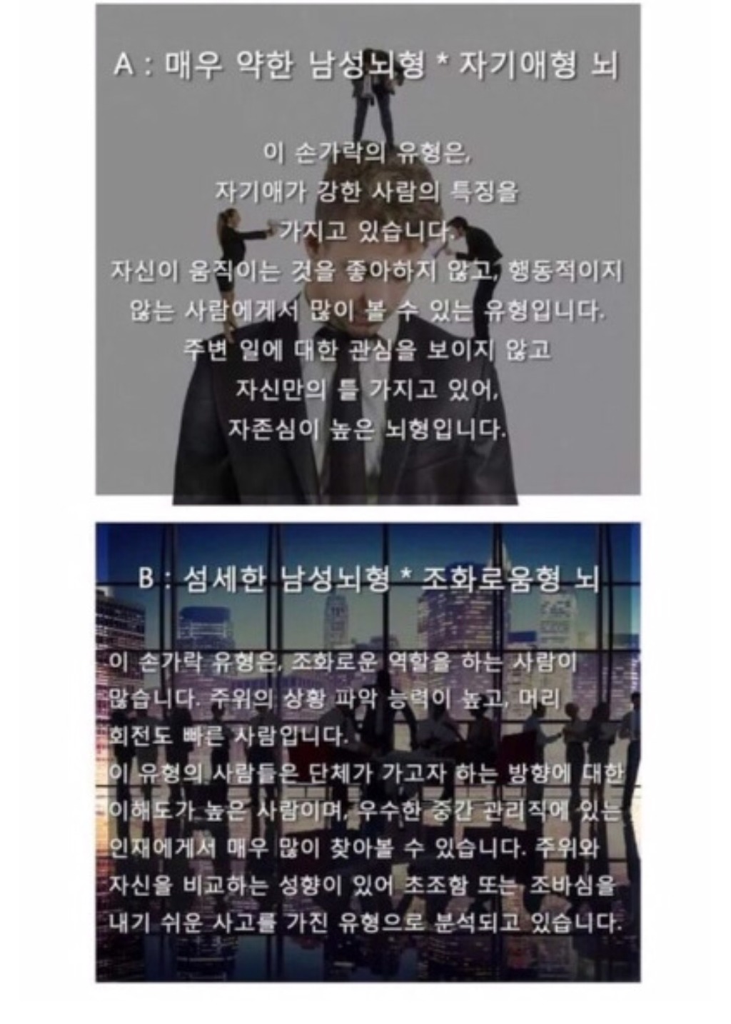 세계에서 가장 정확한 뇌 성격테스트 | 인스티즈