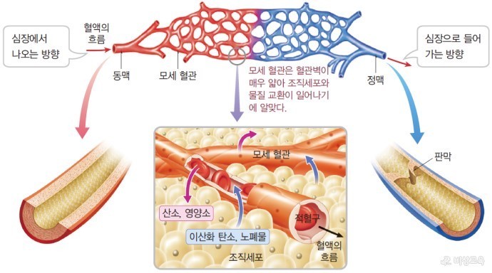 건강만세 이미지