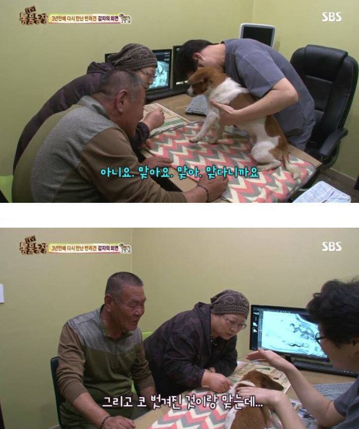 잃어버린 개를 3년만에 찾은 아저씨 | 인스티즈