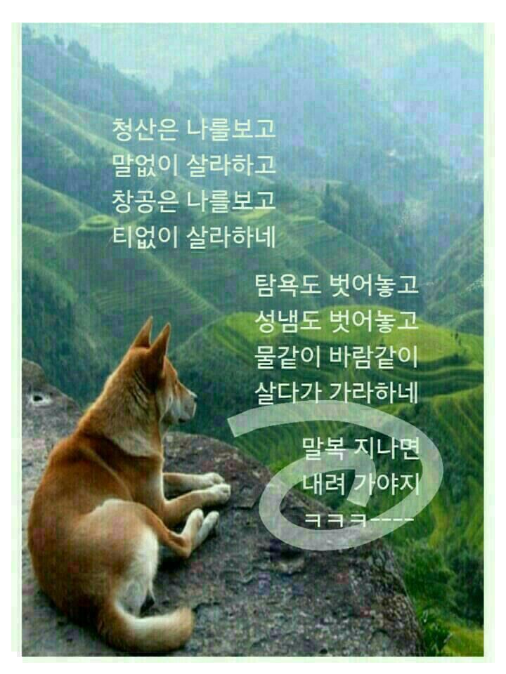 복 이미지