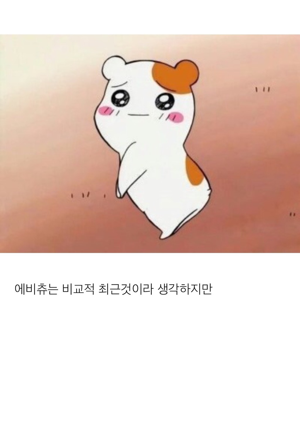 많은 사람이 착각하고 있는 거 | 인스티즈