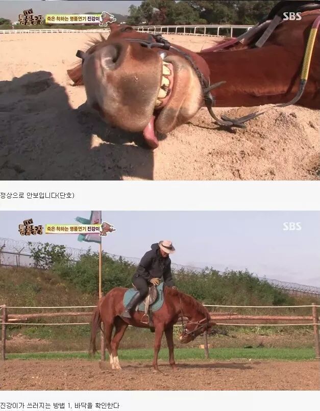말도 안되는 말 | 인스티즈