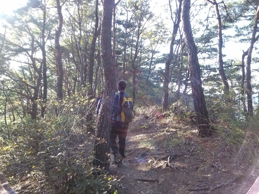 오르다보면 이미지