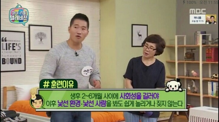 [마리텔] 강형욱 훈련사도 포기한 강아지 도비 | 인스티즈