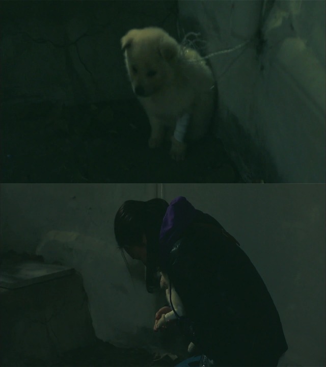 [시그널] 홍원동 연쇄살인사건 02.jpg | 인스티즈