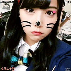 [고급시계] 고양이 버전.jpg | 인스티즈