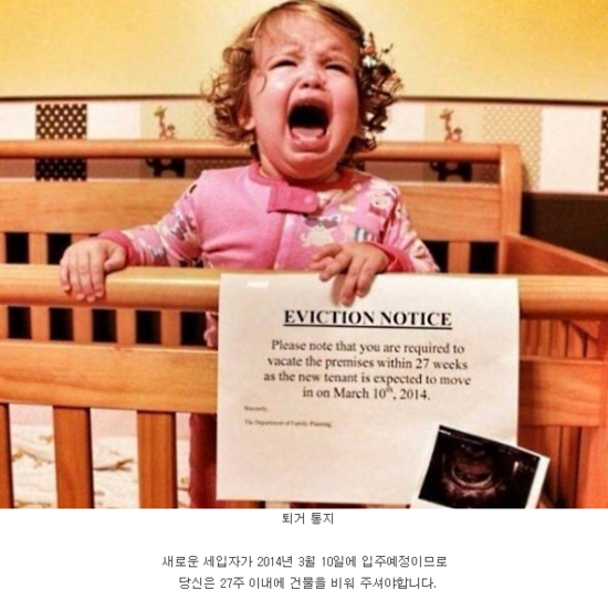 건물주의 횡포에 우는 아이 | 인스티즈