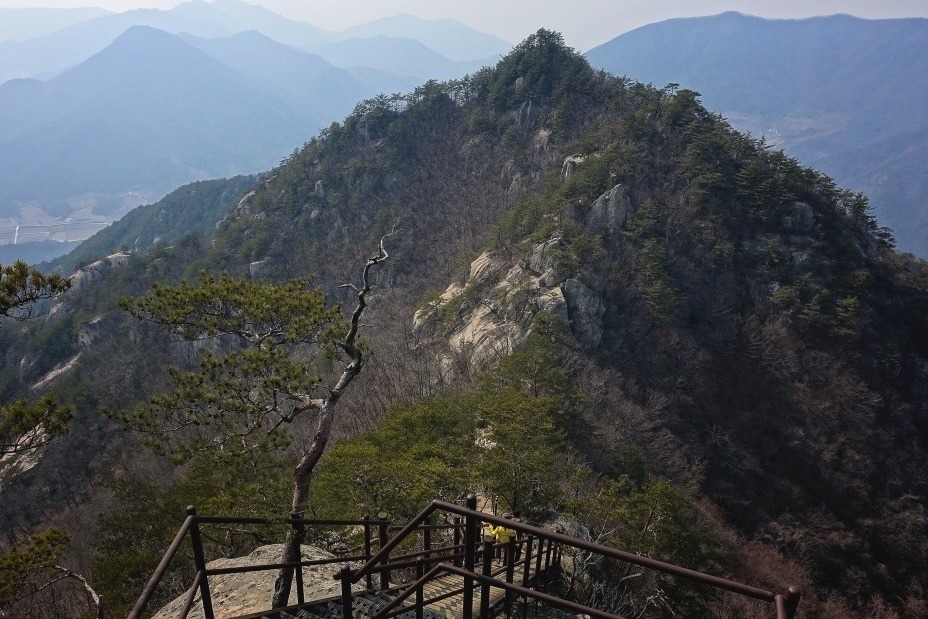 경동고속투어 이미지