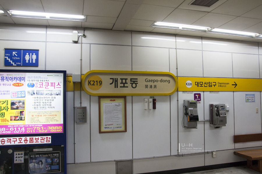 우리나라에서 가장 뚱뚱한 동네는?!?! | 인스티즈
