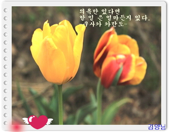 명원 이미지