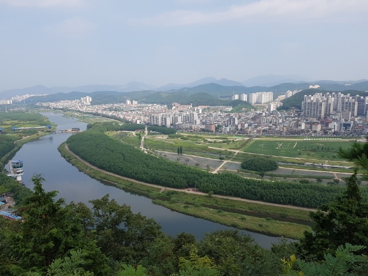 대밭 이미지