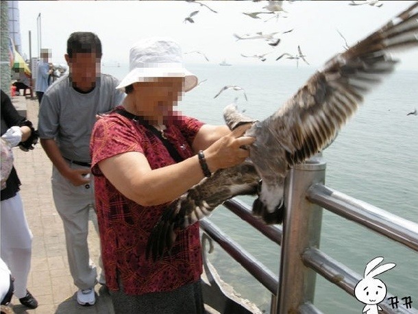 사람들 등는 갈메기 | 인스티즈