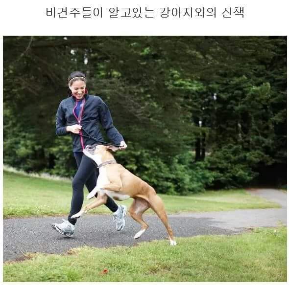산책 이미지