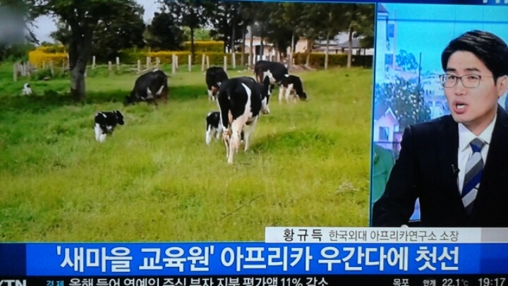 오피아 이미지