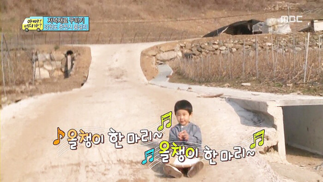 연예인 2세로 보는 아이유가 섹시하다고 느낀 5살 아이들 | 인스티즈