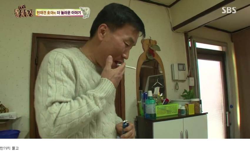 동물농장 완전 똑똑한 멍멍이 | 인스티즈
