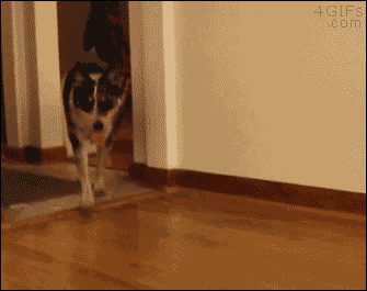 잘 따라오고 있나??.gif | 인스티즈