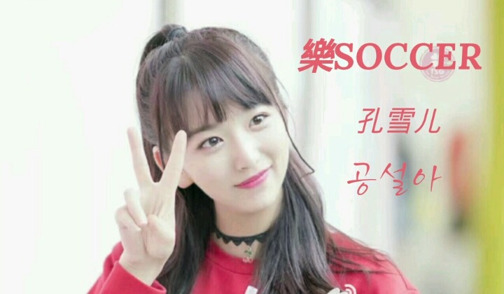 고래상어의 실제 크기 | 인스티즈