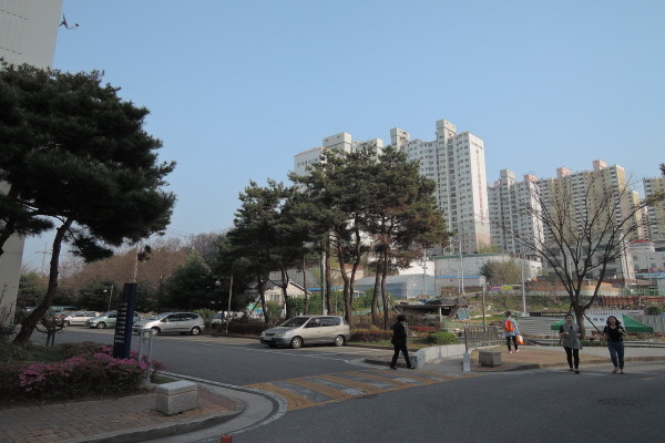 편안한세상 이미지